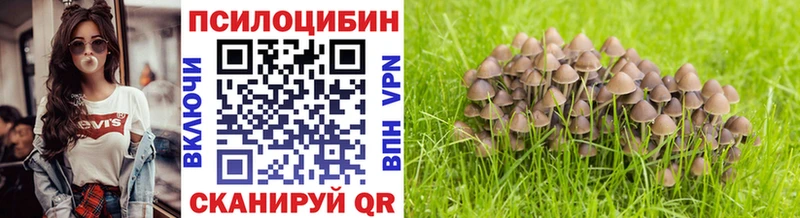 Галлюциногенные грибы GOLDEN TEACHER  Новокубанск 